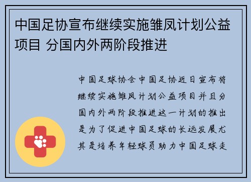 中国足协宣布继续实施雏凤计划公益项目 分国内外两阶段推进